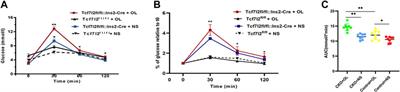 Olanzapine Promotes the Occurrence of Metabolic Disorders in Conditional TCF7L2-Knockout Mice